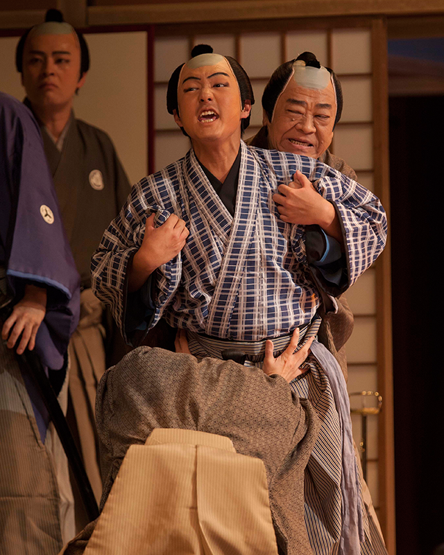 中村橋之助